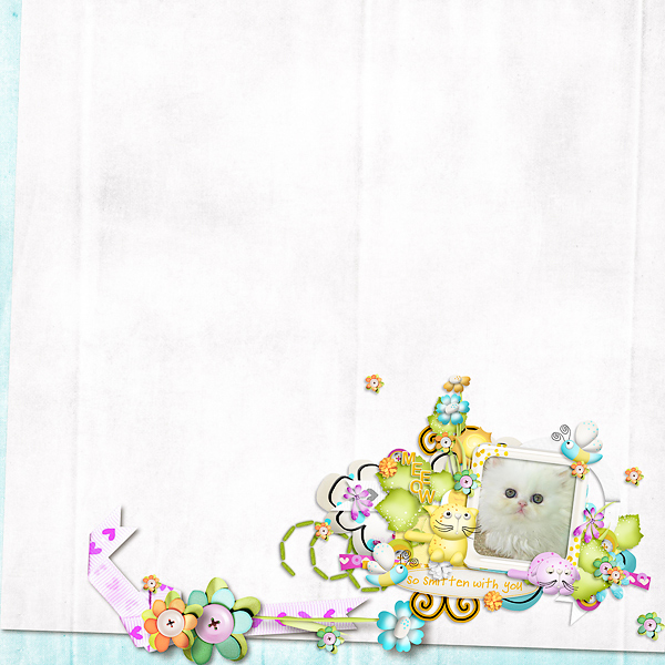 Twinkle Kitten