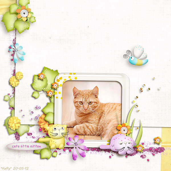 Twinkle Kitten