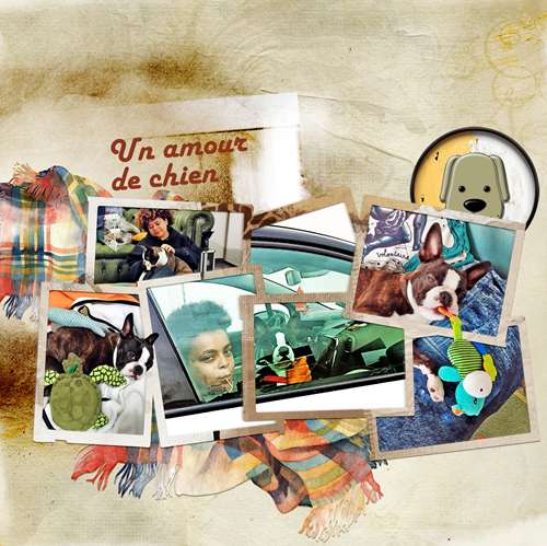 un amour de petit chien