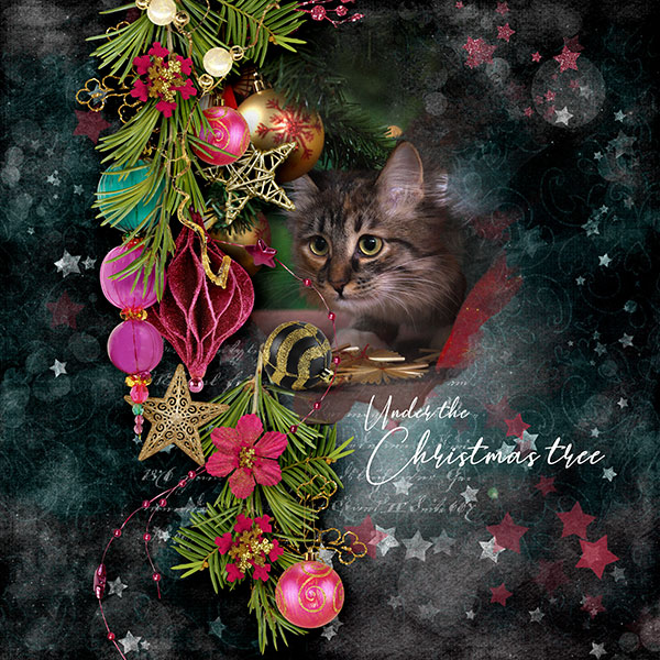 Under the Tree