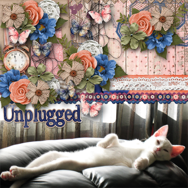 Unplugged