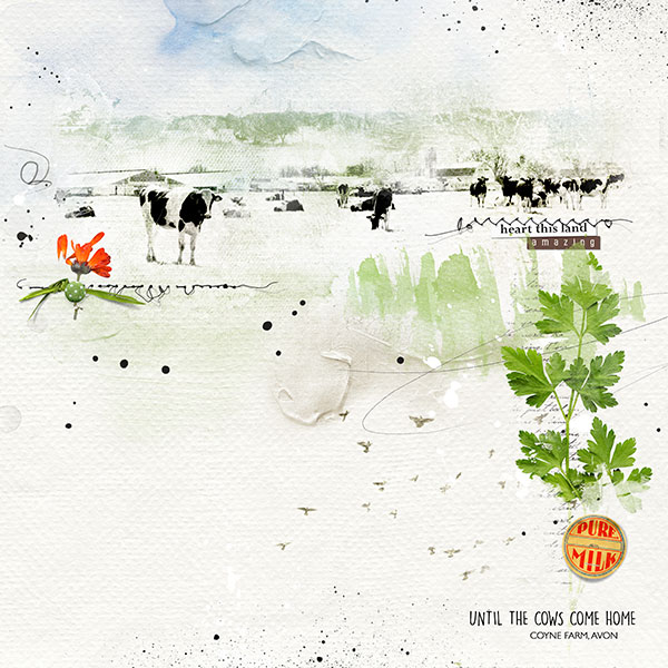 Until the Cows Come Home