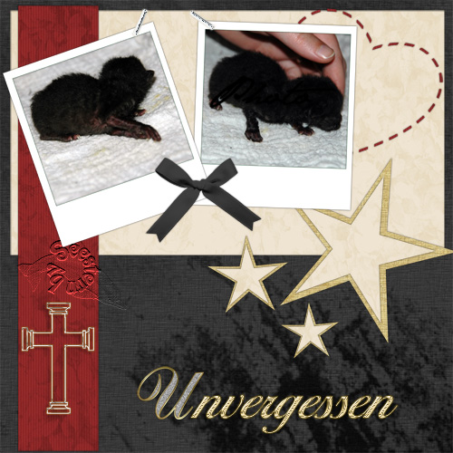 Unvergessen