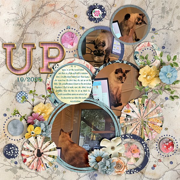 UP