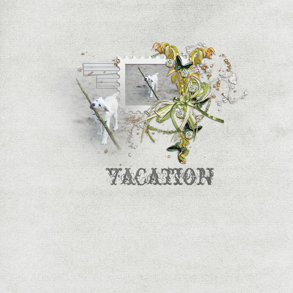 Vacation