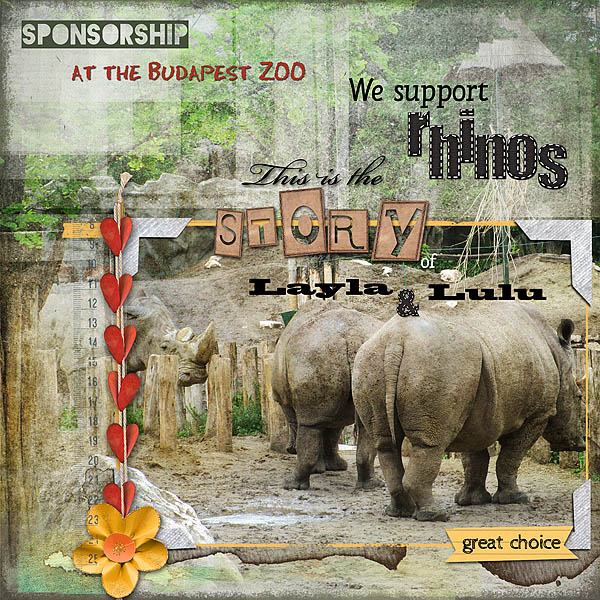 ValC- DS#1 - Rhinos