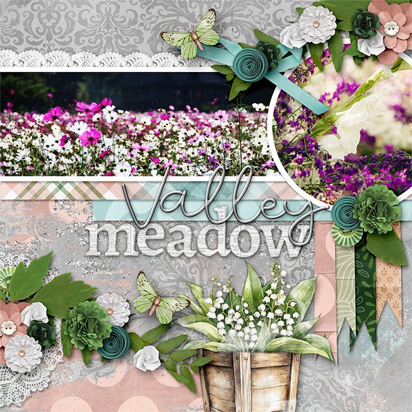 Valley Meadow