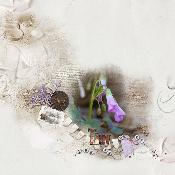 Vanishing Tiny Treasure - Evanish