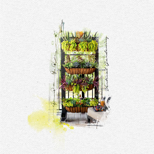 Vertical Gardening/Anna lift