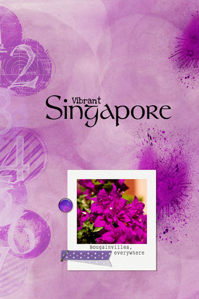 Vibrant Singapore Purple