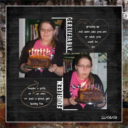 Vicki Stegall - Certifiably 14