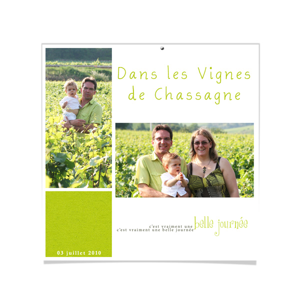 vignes