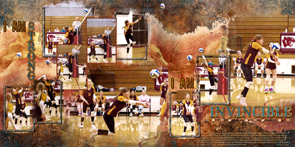 volleyball-12x24-web.jpg