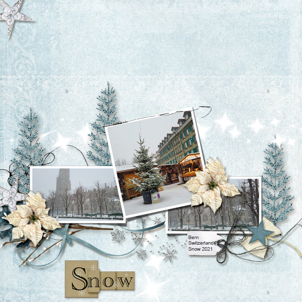 vrd-winter-journal_snow.jpg