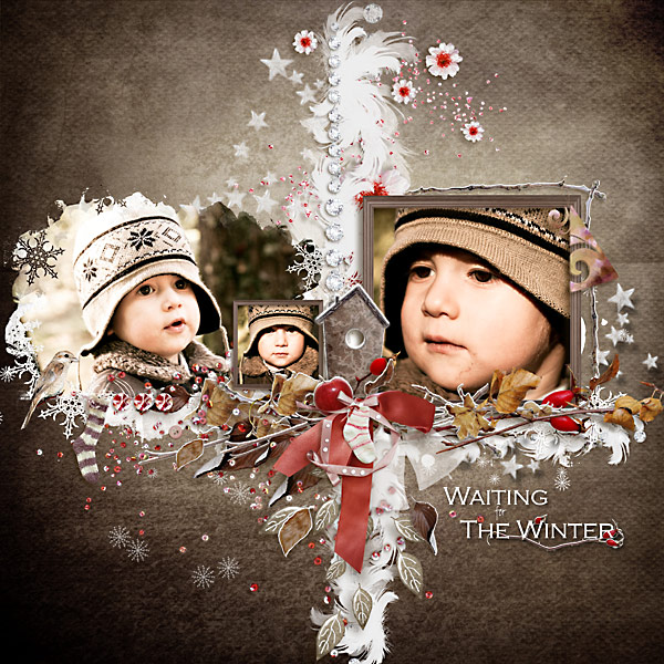 waiting for the winter