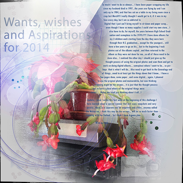 Wants, wishes and Aspirations for 2014