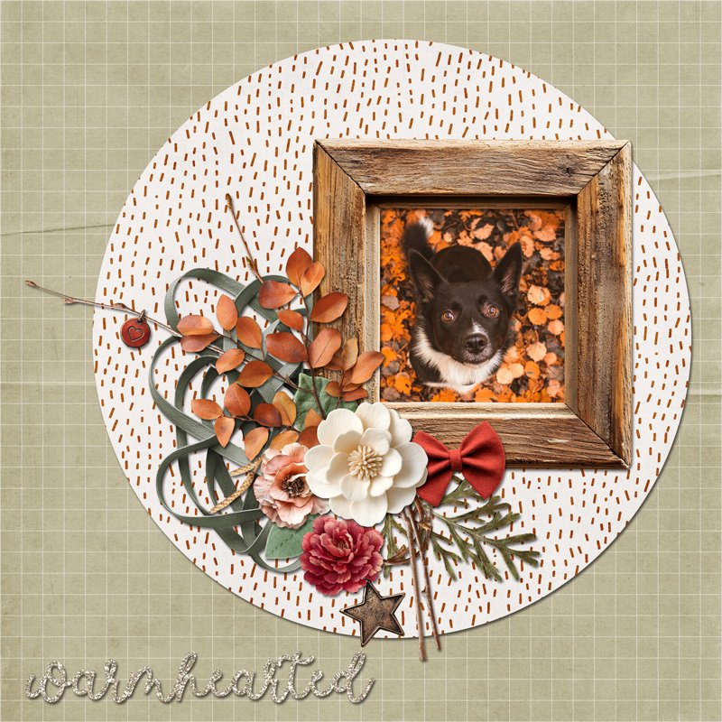 Warmhearted Autumn Doggo