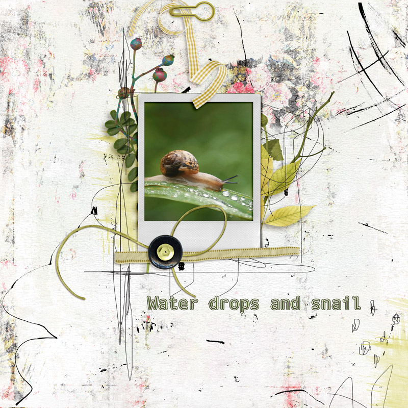 Water drops and snail