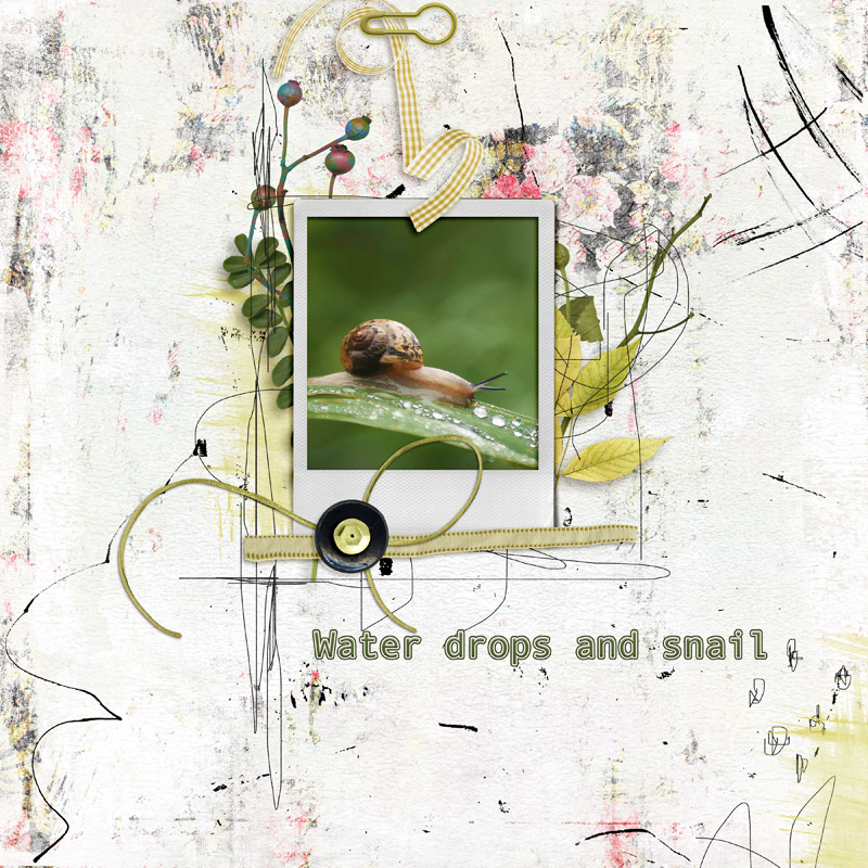 Water drops and snail