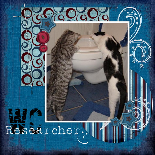 WC Researcher