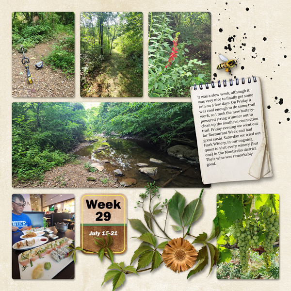 Week 29