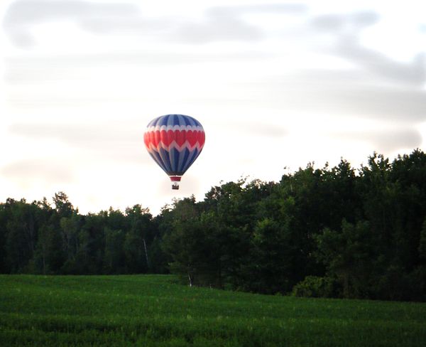 Week 31 Photo prompt - Something Flying