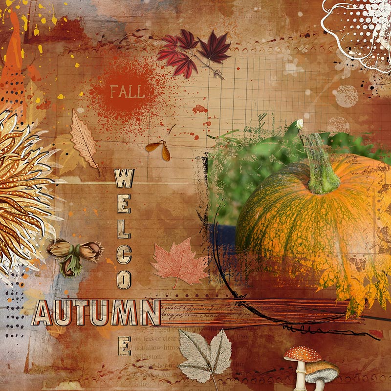 Welcome Autumn