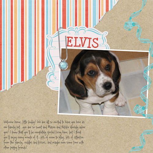 Welcome Elvis