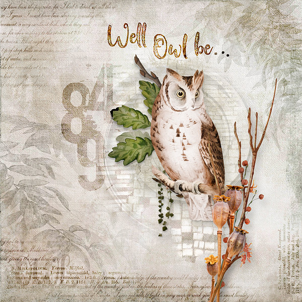 well owl be...