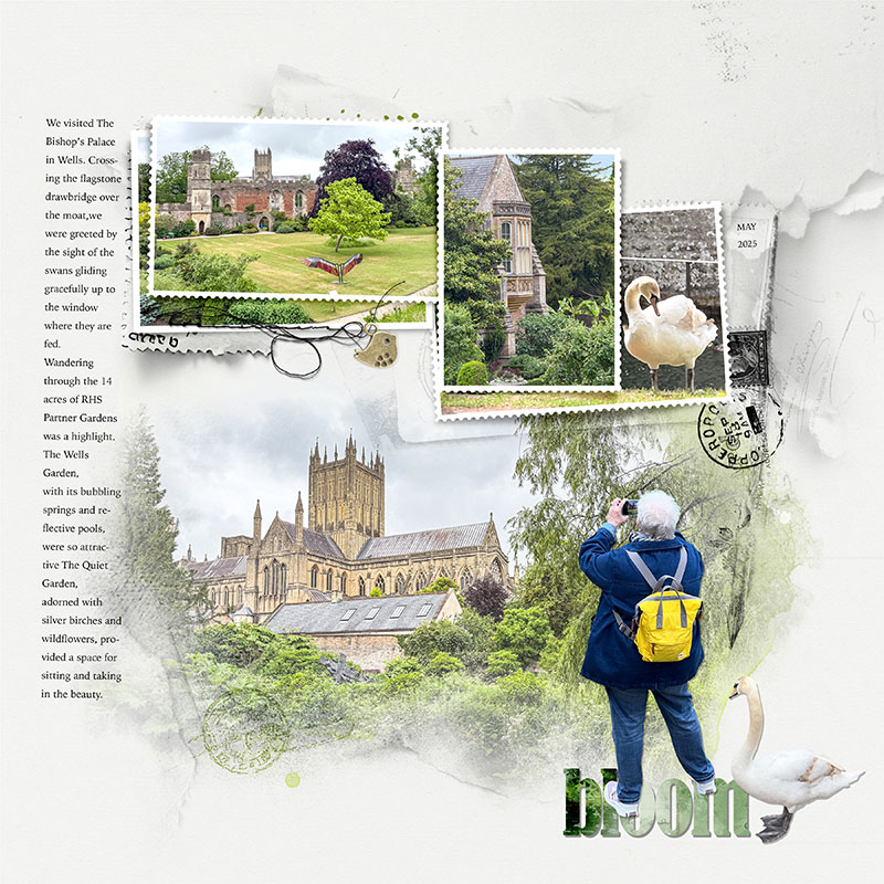 Wells, Somerset