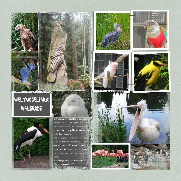 Weltvogelpark Walsrode.jpg