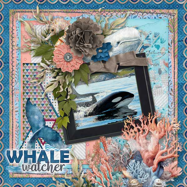 Whale Watcher