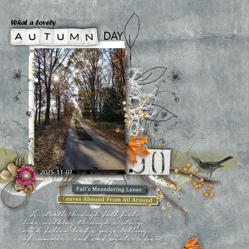 What a lovely Autumn Day.jpg