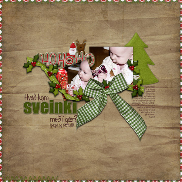 What Did Santa Bring?