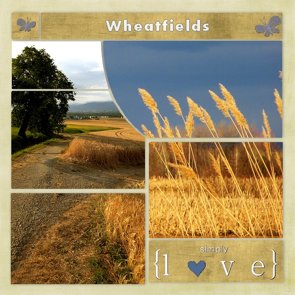 Wheatfields