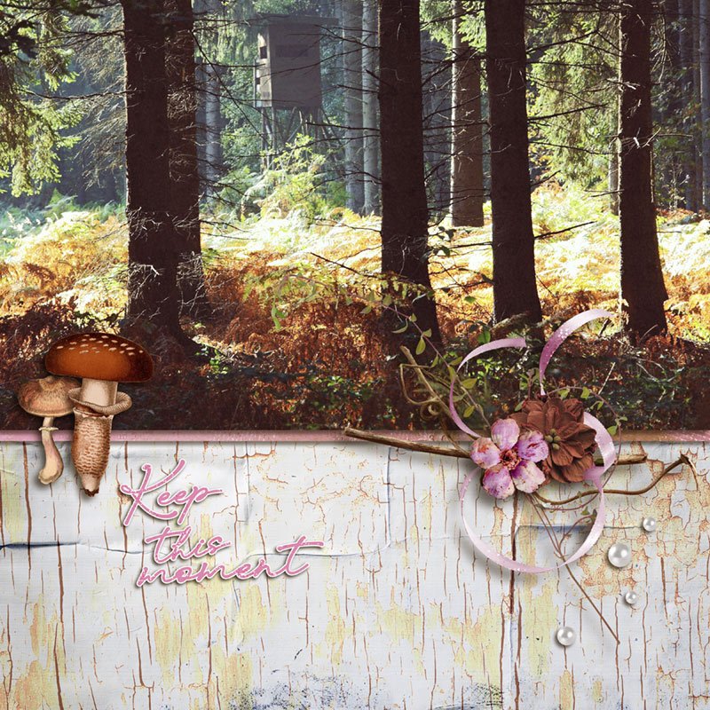When Autumn Leaves