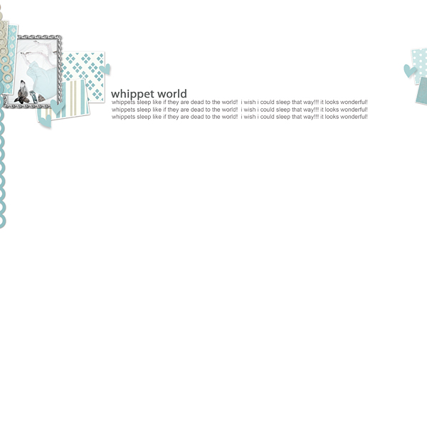 Whippet world