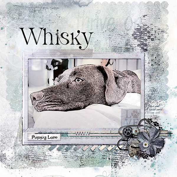 Whisky