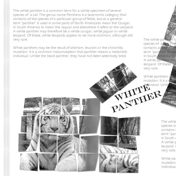 White Panther...