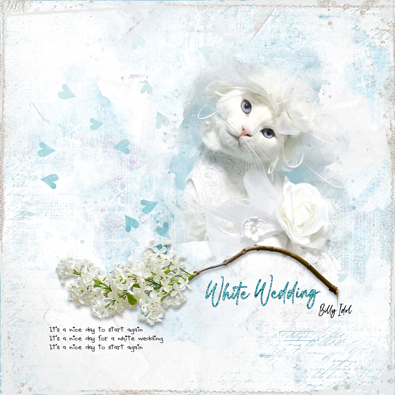 WHITE-WEDDING