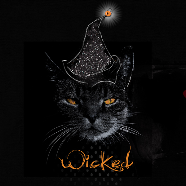 Wicked Kitty