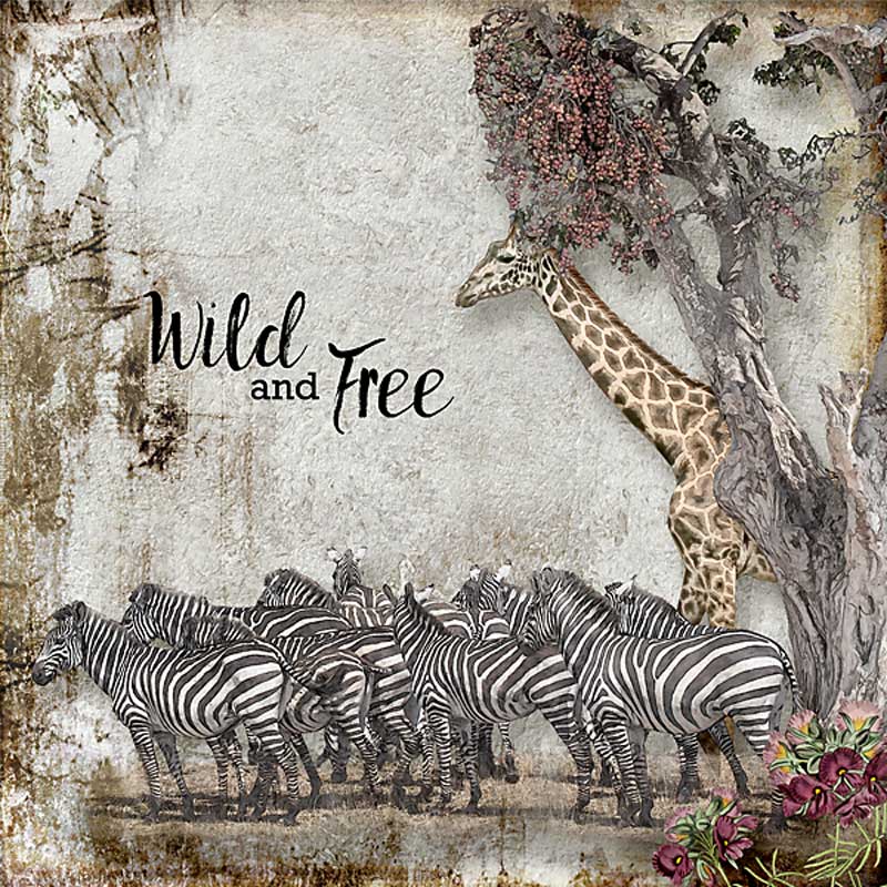 Wild and Free