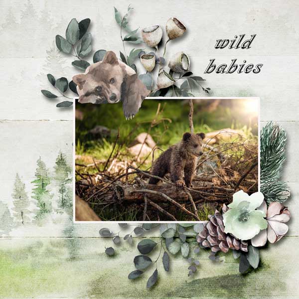 wild-babies-reginafalango.jpg