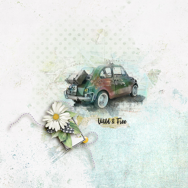 wild & free