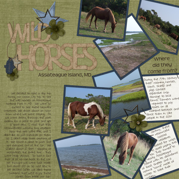 Wild Horses