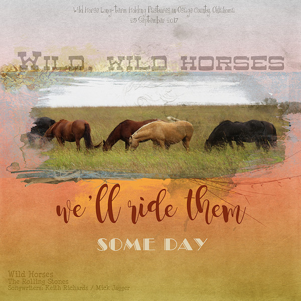 Wild Horses