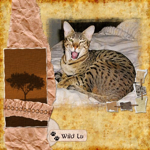 Wild Lu