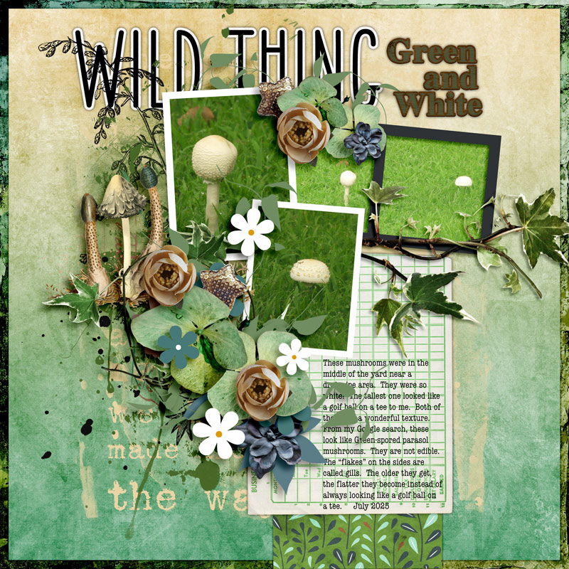 Wild-Thing