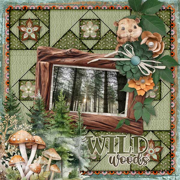 Wild Woods