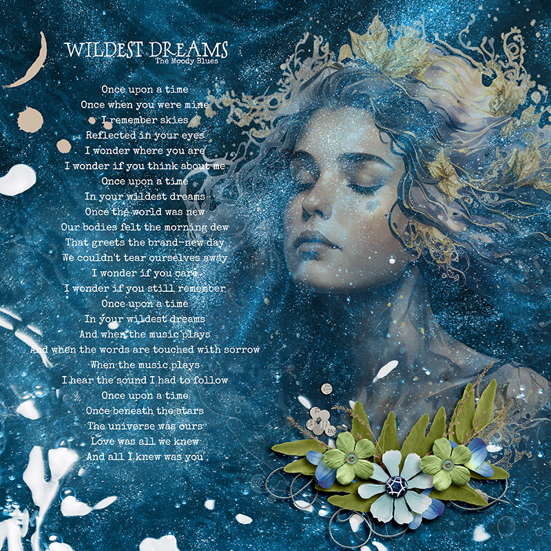 Wildest Dreams